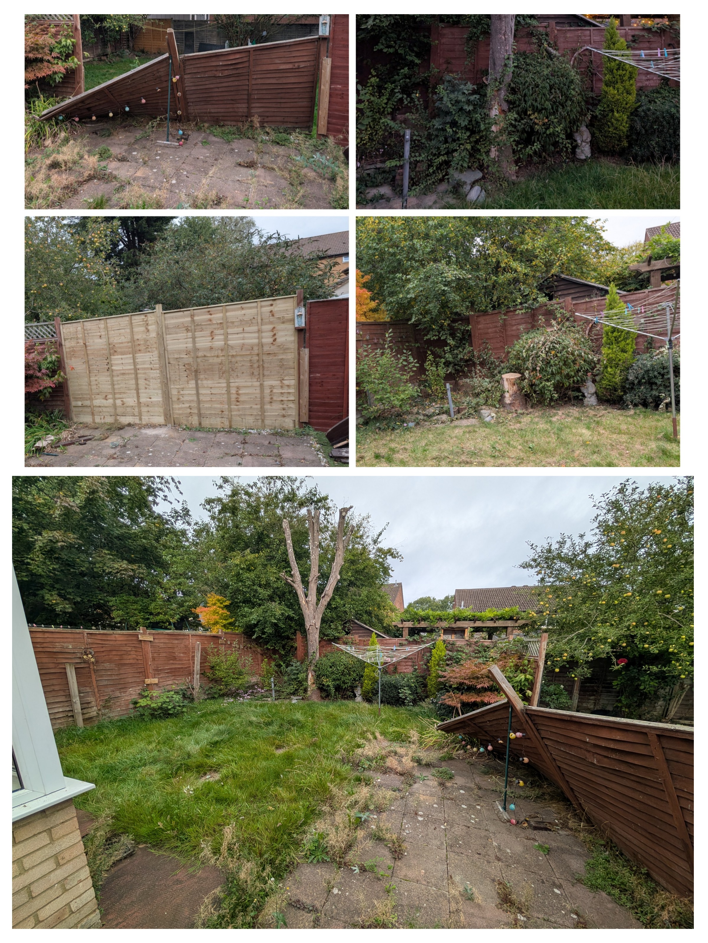 Project Jack Thumbnail